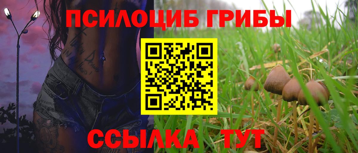 Псилоцибиновые грибы ЛСД Тольятти